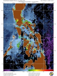 MODPM20073392007345.L4_LP_NOAA_PHL_chl_oc3m.jpg
