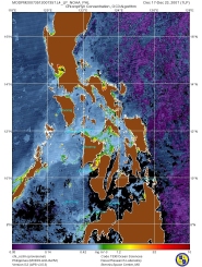 MODPM20073512007357.L4_LP_NOAA_PHL_chl_oc3m.jpg