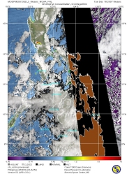 MODPM2007352.L3_Mosaic_NOAA_PHL_chl_oc3m.jpg