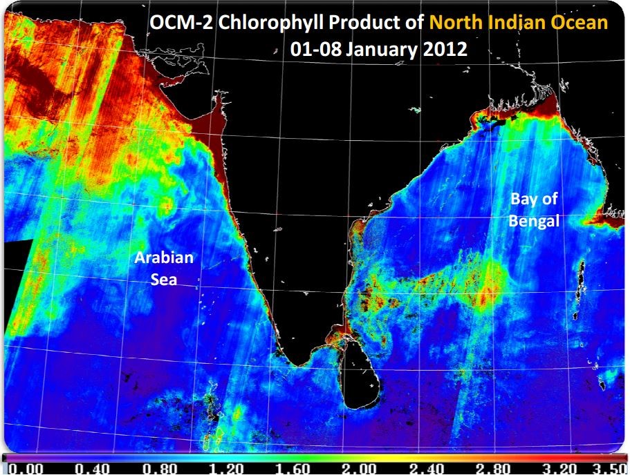 chlorophyll_map.jpg