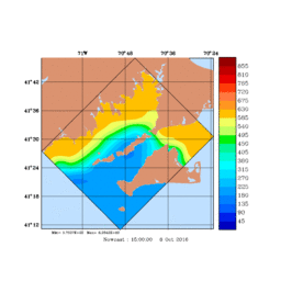 RAD/med014.gif