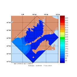 RAD/med021.gif