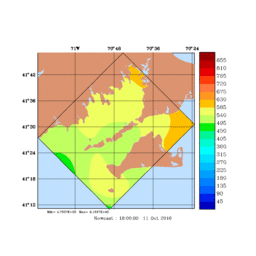 RAD/med055.gif