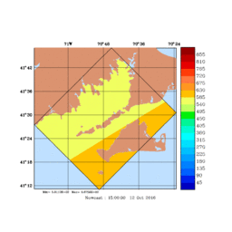 RAD/med062.gif