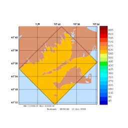 RAD/med063.gif