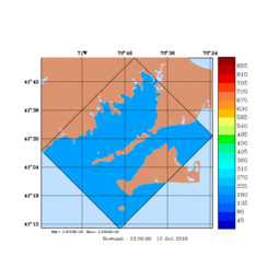 RAD/med064.gif