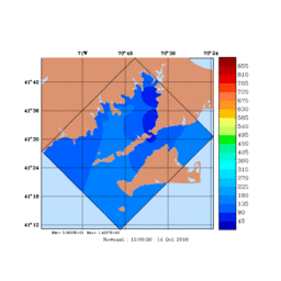 RAD/med077.gif