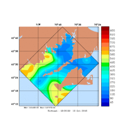 RAD/med095.gif