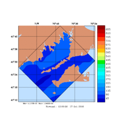 RAD/med101.gif