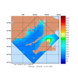 RAD/med111.gif