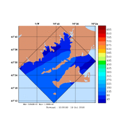 RAD/med117.gif