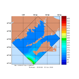 RAD/med142.gif