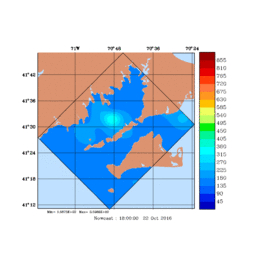 RAD/med143.gif