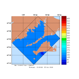 RAD/med168.gif