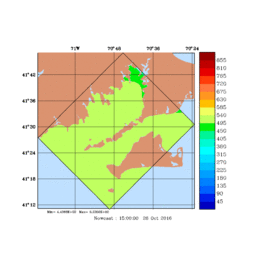 RAD/med174.gif