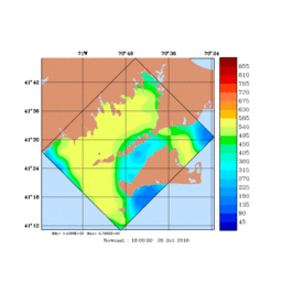 RAD/med175.gif