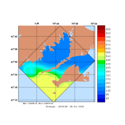 RAD/med191.gif