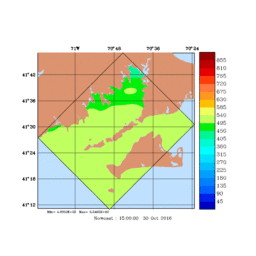 RAD/med206.gif