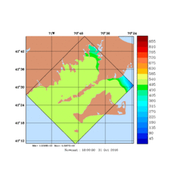 RAD/med215.gif