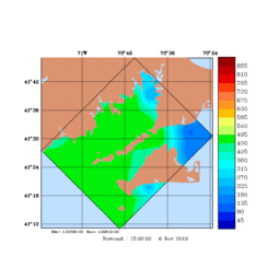 RAD/med262.gif