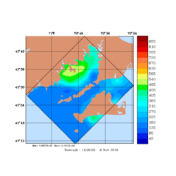 RAD/med263.gif