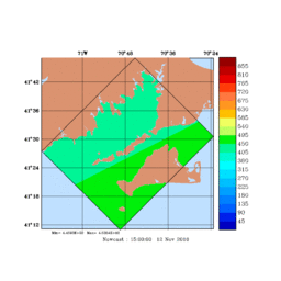 RAD/med310.gif