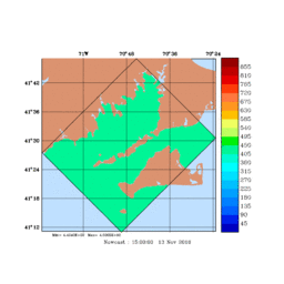 RAD/med318.gif