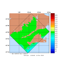 RAD/med343.gif