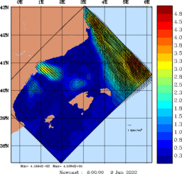 wstr_20220609_0600.gif