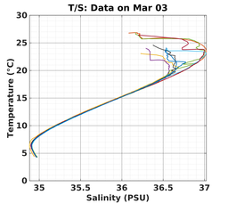 20240303_prof_M3_top5m_ts.png