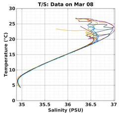 20240308_prof_M3_top5m_ts.png