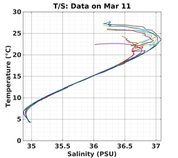 20240311_prof_M3_top5m_ts.png