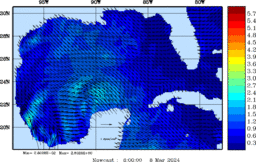 wstr_20240308_0600.gif