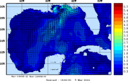 wstr_20240305_1800.gif