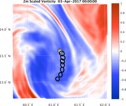 smallDomain_vorticity.png