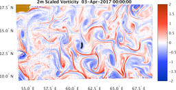 bigDomain_vorticity.png