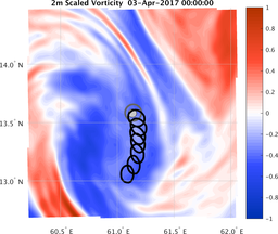 smallDomain_vorticity.png