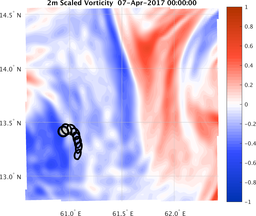 smallDomain_vorticity.png