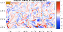 bigDomain_vorticity.png