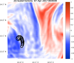 smallDomain_vorticity.png