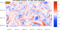 bigDomain_vorticity.png