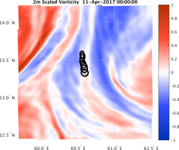 smallDomain_vorticity.png