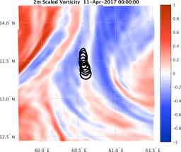 smallDomain_vorticity.png