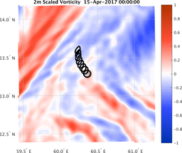 smallDomain_vorticity.png