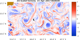 bigDomain_vorticity.png