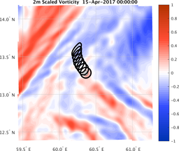 smallDomain_vorticity.png