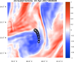 smallDomain_vorticity.png