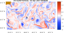 bigDomain_vorticity.png