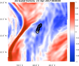 smallDomain_vorticity.png