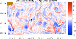 bigDomain_vorticity.png